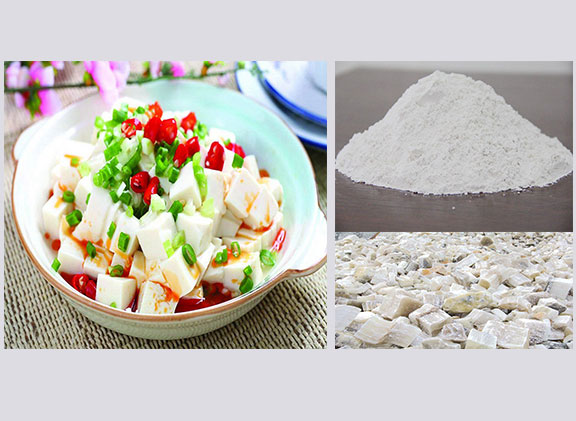 1.1tofu-coaguloant.jpg