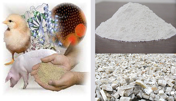 2.2-feed-additive.jpg
